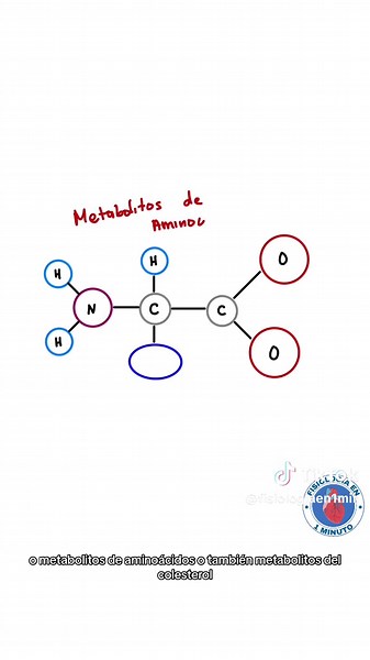 Generalidades sobre Fisiología Endocrina en 1 minuto