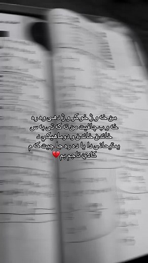 Document Insights: Close-Up Text Analysis