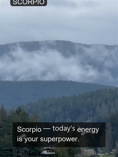 Your daily horoscope readings for Scorpio. Scorpio: … : … 👍 Like & subscribe for daily zodiac insights! • Scorpio Scorpion Ring: https://amzn.to/3D9JvQw • What’s Your Sign? Horoscope Party Game: https://amzn.to/4ep2geW #signsoftheseason #astrologycommunity #horoscopeoftheday #scorpio #starsigns