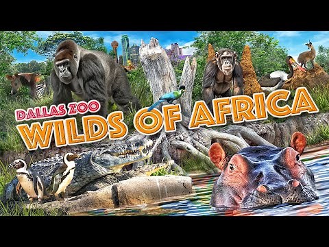 Zoo Tours: Wilds of Africa | Dallas Zoo
