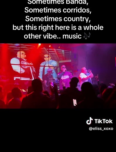 The Unique Blend of Nb Ridaz Music: A Vibe Like No Other