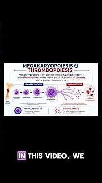 Clinical Hematology - Megakaryopoiesis and Thrombopoiesis