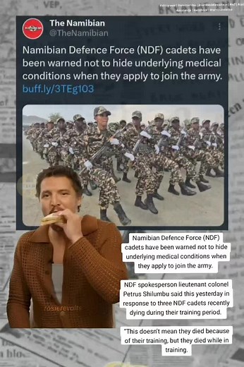 Namibian Defence Force Cadet Training Graduation and Concerns Over Medical Conditions