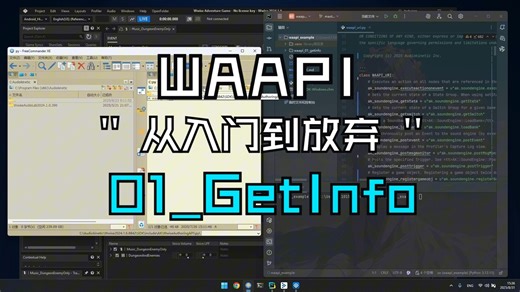 waapi_01_getinfo