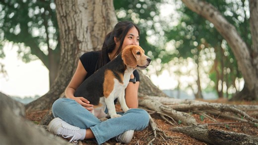 Les 3 qualités rares des personnes qui préfèrent la compagnie des animaux à celle des êtres humains - Psychologies.com