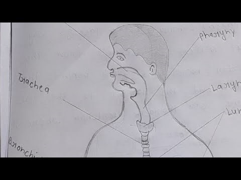 Chahat Pal is live! स्वागत है सभी का हमारे लाइव स्ट्रीम में 🙏🏼#vairal#my#live#stream#YouTube live