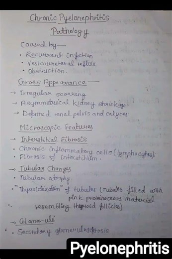 Pyelonephritis ⚡ Definition, etiology, types, Pathogenesis, Pathology, Treatment
