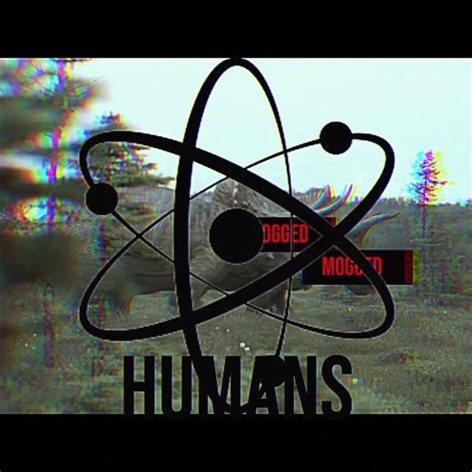 Human Prime of evolution // song - hardtekk 1999 #evolution #humanity #edit