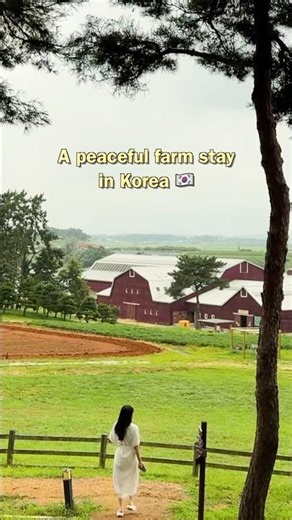 A Healing Farm Stay in the Korean Countryside 🌾| vlog #국내여행