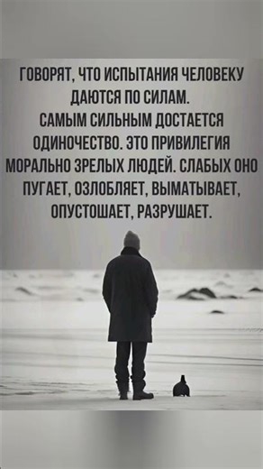 мудрые фразы