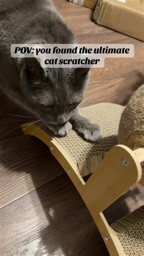 My cats absolutely love this scratcher pad and I don’t blame them- the cardboard pads are perfectly aligned for efficient scratching and they have a ball to play with too. Took 5 minutes to put together, so easy and will keep them entertained and away from scratching furniture! #cats #catsoftiktok #cattoys #tiktokshopjumpstartsale #tiktokshopcreatorpicks