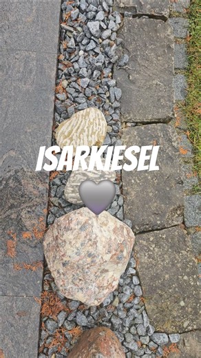 Korallenkalk /Riffkalk ~ Isarkiesel ~ ca. 230 Mio. Jahre alt 🩶✨️