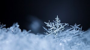 Understanding the different types of snowflakes and why it matters