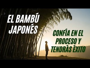 “Historia del Bambú Japonés y su Poderosa Enseñanza de Vida”