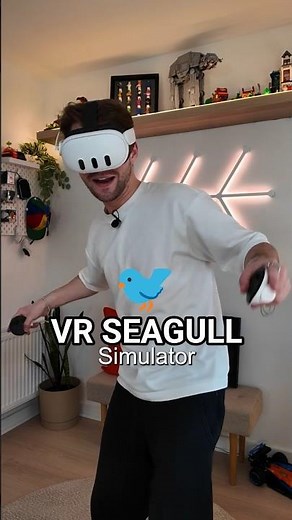 New VR Seagull Simulator on Quest!