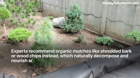 Landscape Fabric Creates More Problems Than It Solves in Gardens