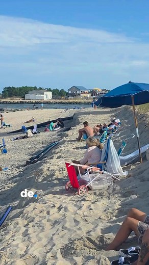 82K views · 501 reactions | The ocean didn't breach the dune this...