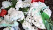 Soiled diapers in landfills. Environmental Impact of Disposable...