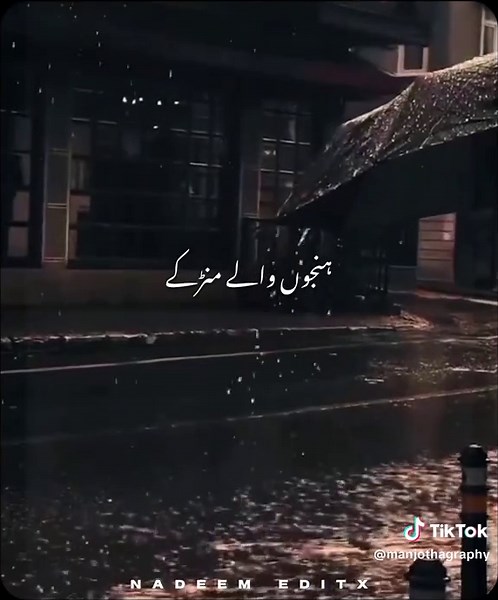 𝙉𝙖 𝙋𝙤𝙘𝙝 𝙃𝙖𝙡 𝙎𝙖𝙙𝙚𝙮 🤌🏻🌿🥺❤️‍🩹😫#lyricsvideo #manjothagraphy #astheticlNadeem #shafullahrokhari #astheticl