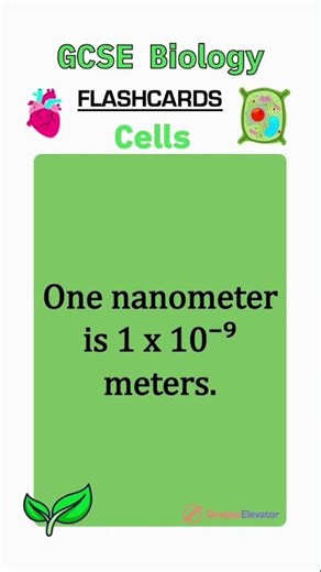 Cell biology revision flashcards GCSE #education #revision #combinedscience