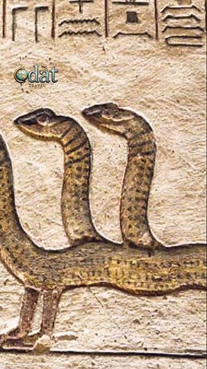 3 Headed Serpent Creature found in Ancient Egyptian Tombs #serpent #ancient #tomb #snake #afterlife