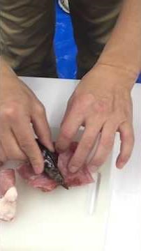 石器 黒曜石のナイフで肉を切る