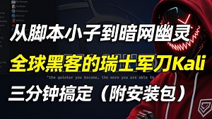 【从脚本小子到暗网幽灵】全球黑客的瑞士kali！2025版最新黑客工具kali安装使用教程，零基础入门到精通(非常详细)