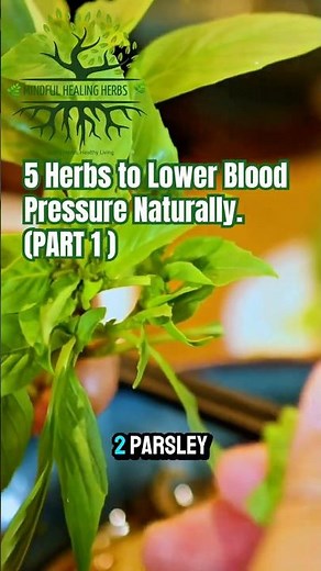 Lower Blood Pressure Naturally With These 5 Herbs #bloodpressure