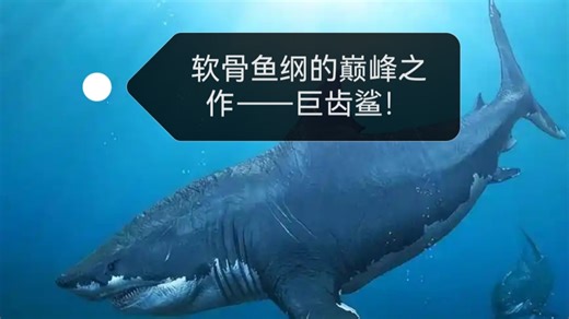 巨齿鲨荣获“软骨鱼纲的巅峰之作”“地球有史以来最强大的动物”“地球咬合力榜首”等多项优秀称号！