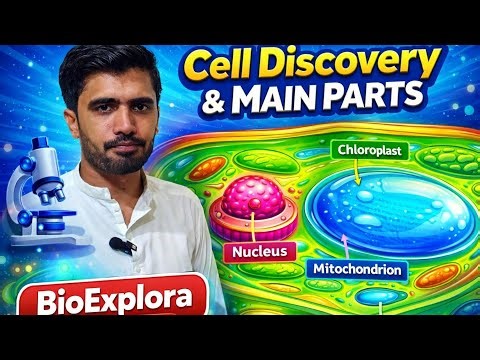 Cell: Discovery, Structure & Main Parts | Easy Biology for Students.