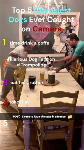 Top 5 Clumsiest Dogs Ever Caught on Camera #puppy #funny #doglife #pets #corgi