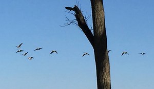 27K views · 206 reactions | The city of Mt. Vernon is asking itself...