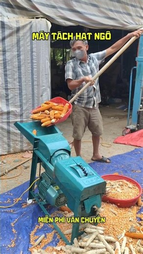Mini corn threshing machine at an affordable price #minicornthreshingmachine
