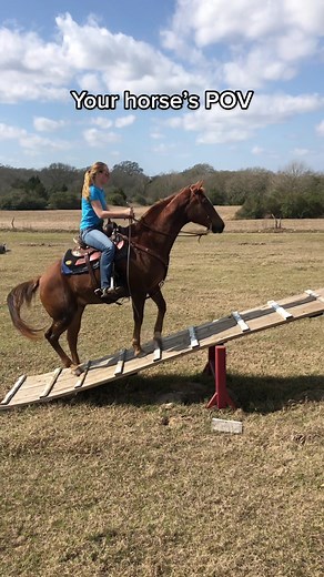 Unique Horse Obstacle Course Experience