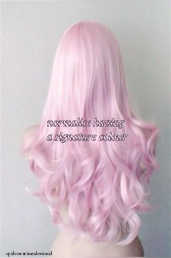 Understanding the Misconceptions About Spiders