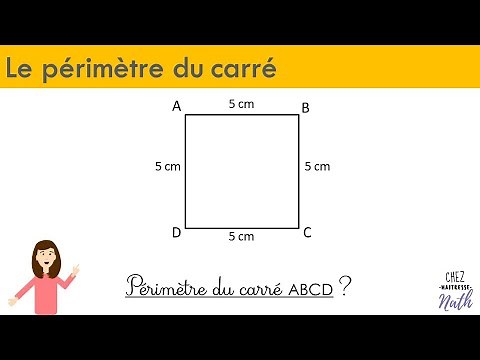 Le périmètre du carré