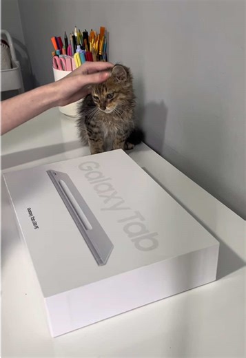 Unboxing the Galaxy Tab S10 FE: Features & First Impressions