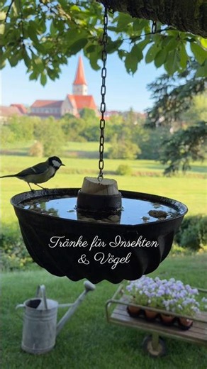 DIY Vogeltränke & Insektentränke aus Gugelhupf Form, schnell zu reinigen