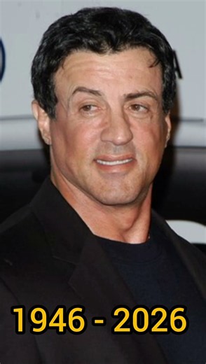 Sylvester Stallone Then vs Now #thenvsnow #ageprogression #transformation #hollywood #celebrity