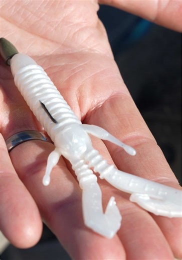 Spring Bass Fishing Tips: White Craws on Bedding