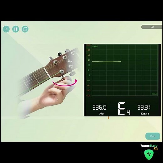 TunerMate App — Guitar Tuner and Online Lessons