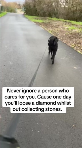 Banjo the cool (@banjothecool)’s videos with Viva Forever - The Butterfly Effect