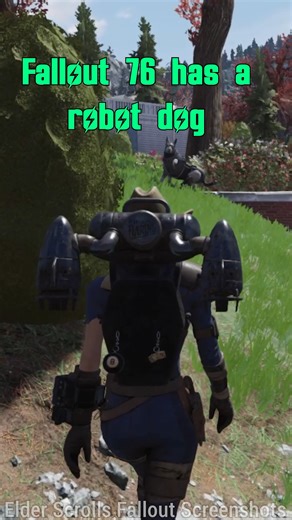 1.6K views | Meet Fetch the Robot Dog in Fallout 76. I first unlocked Fetch in the sixth season, but they're now available in the Atomic Shop for all player camps. Additionally, Mod Authors ported Fetch into Fallout 4 to be available as a companion in game. #fallout #Fallout76 | Elder Scrolls & Fallout Screenshots | Facebook