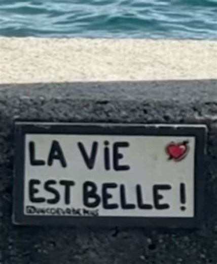 La Vie est Belle: Inspirational Quotes on Life