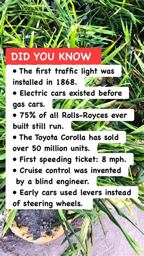 🚦 Invention Facts That Will Blow Your Mind #InventionFacts #TechHistory #CoolDiscoveries | World Of Animals