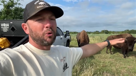 Big Joe Gets To Go! - Cross Timbers Bison | Cross Timbers Bison Fans