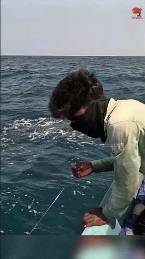 Deep Sea Fishing Videos #fishing #fishingvideo #fishingtime