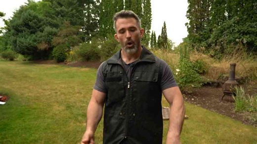 Why most dog owners apply corrections at the wrong time