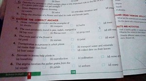 The stigma receives the pollen grains from the