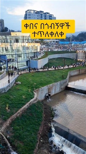 The Insane Transformation of Kebena river #habesha #travel#addisababa #ethiopia #shorts